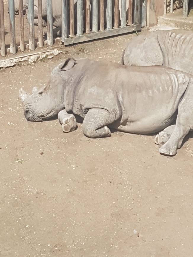 Lugar Jardim Zoológico de Lisboa