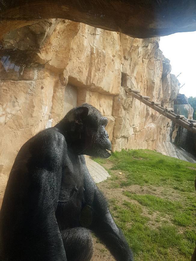 Lugar Jardim Zoológico de Lisboa