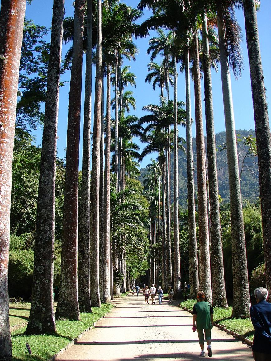 Lugar Jardim Botânico do Rio de Janeiro