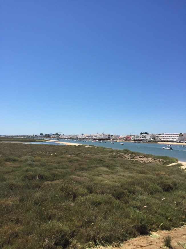 Place Ria Formosa Natural Park