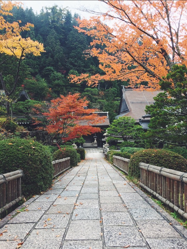 Place Koyasan