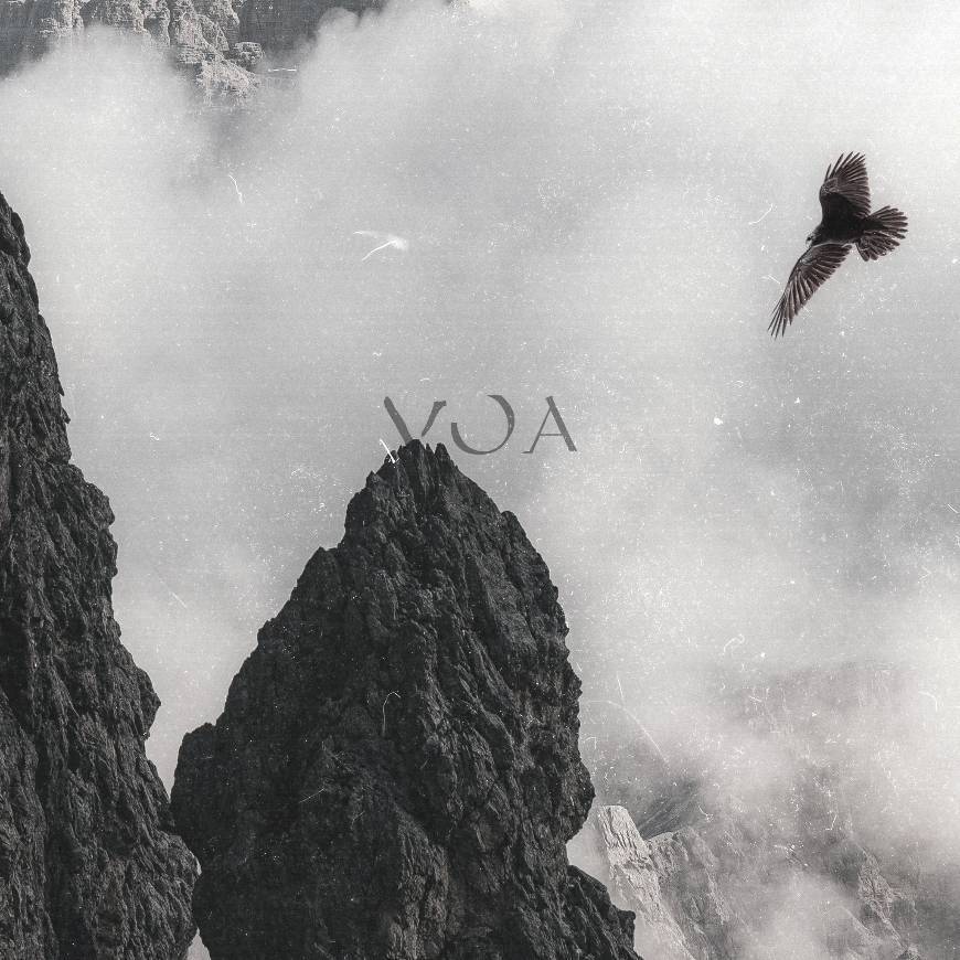 Music Lójico- Voa