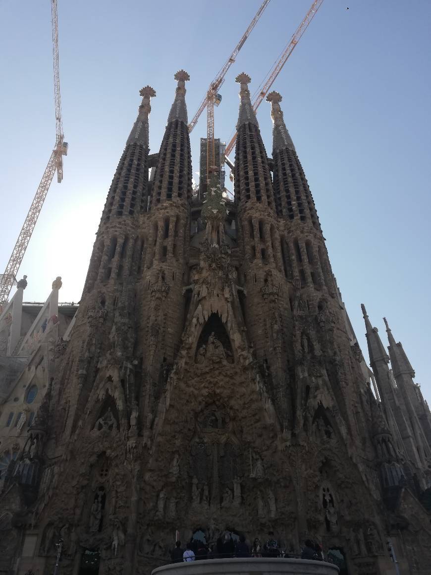 Lugar Basílica Sagrada Familia