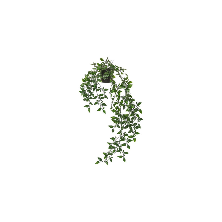 Social FEJKA PLANTA ARTIFICIAL