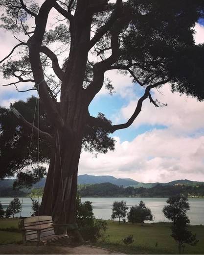 Lagoa das Furnas #SãoMiguel #Azores