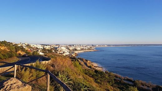 Cape Mondego viewpoint