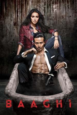 Movie Baaghi