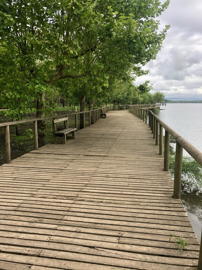 Lugar Pateira de Óis da Ribeira