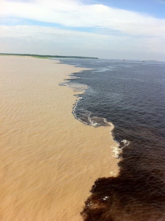 Amazonas
