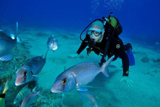 Mergulho • Porto Santo Sub