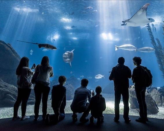 Lugar Oceanário de Lisboa