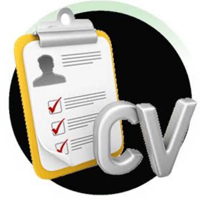 Curriculum 