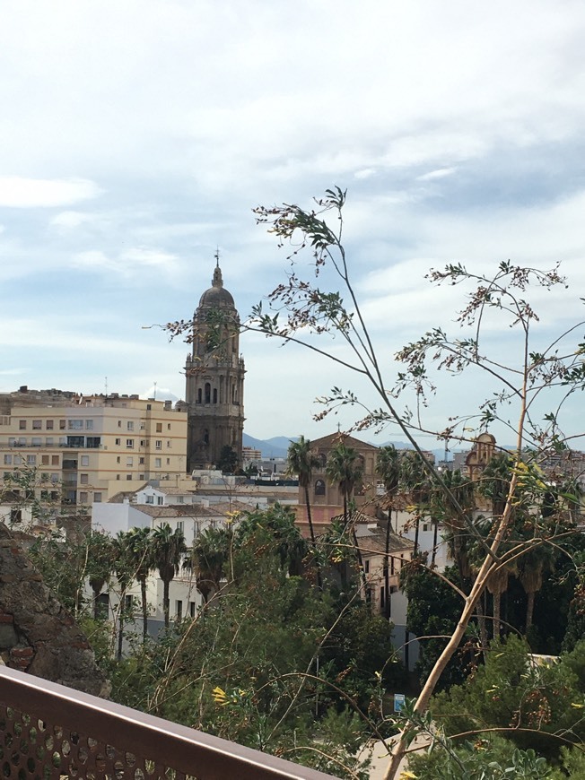 Place Málaga