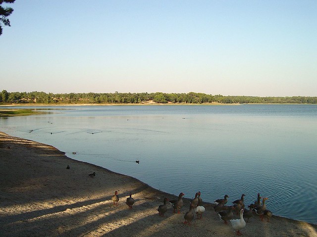 Barragem de Magos