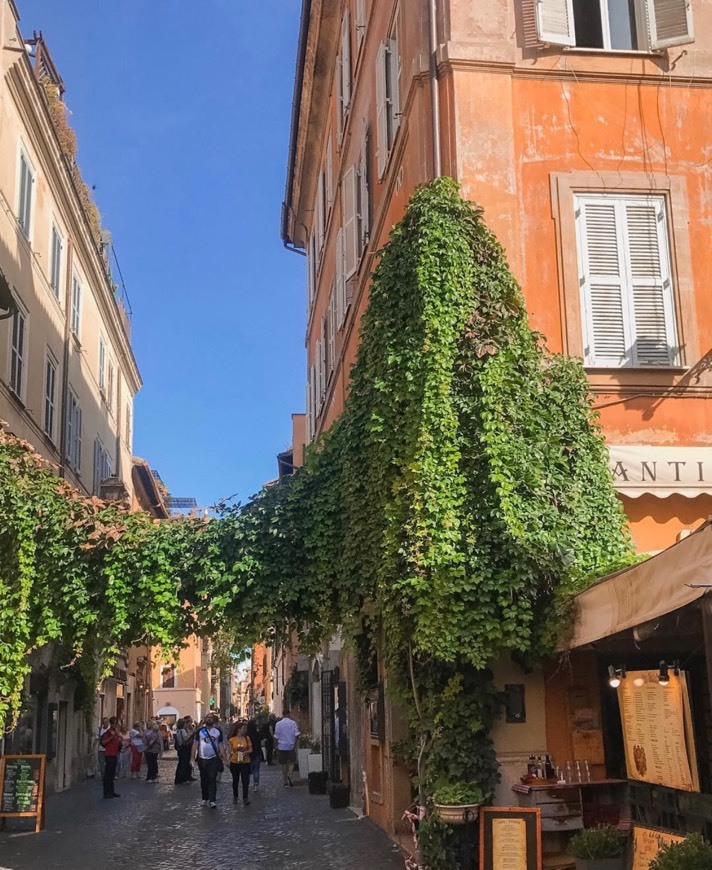 Place Trastévere