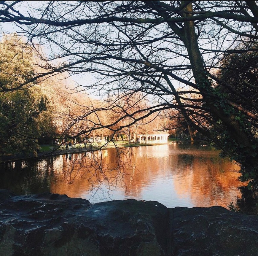 Place St. Stephen's Green