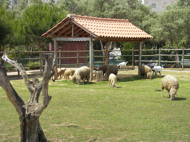 Lugar Quinta Pedagógica dos Olivais