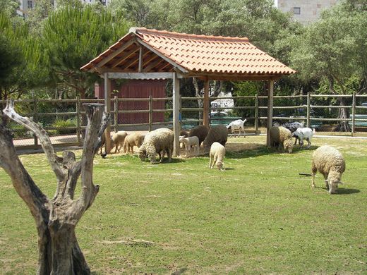 Quinta Pedagógica dos Olivais