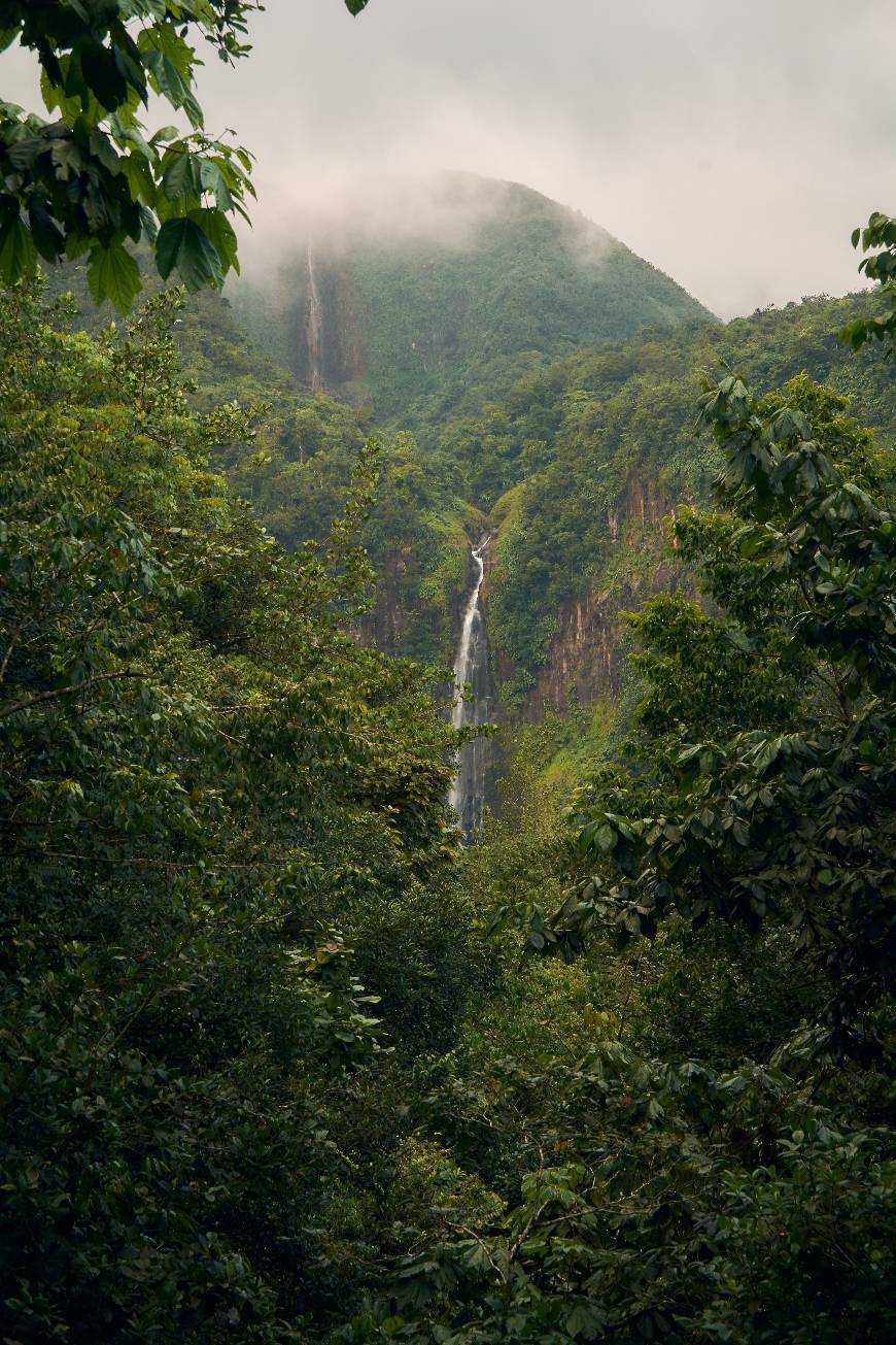 Lugar Parque Delta