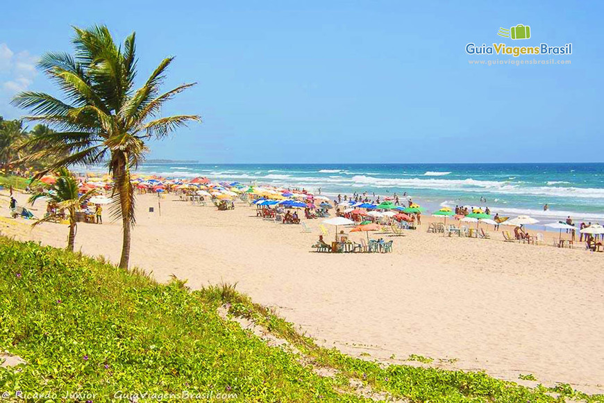 Place Praia do Flamengo