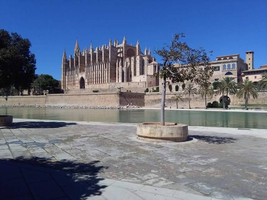 Lugar Catedral-Basílica de Santa María de Mallorca