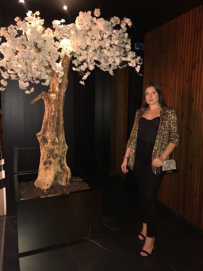 Restaurants D'Avenida - Fine Dining & Clubbing