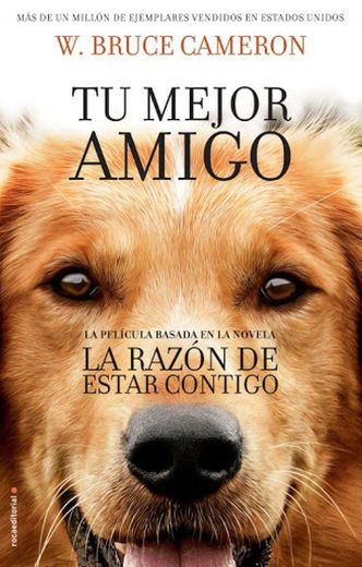 La razón de estar contigo: Tu mejor amigo 