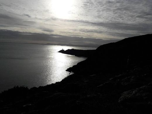 Howth Cliff Walk (Green Route)