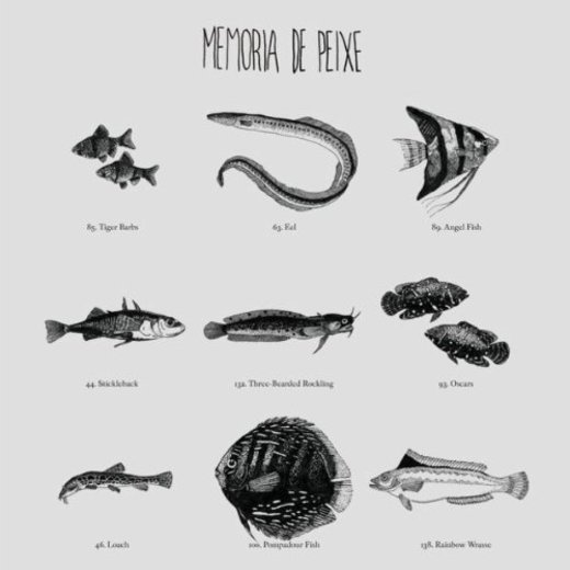 Memória de Peixe