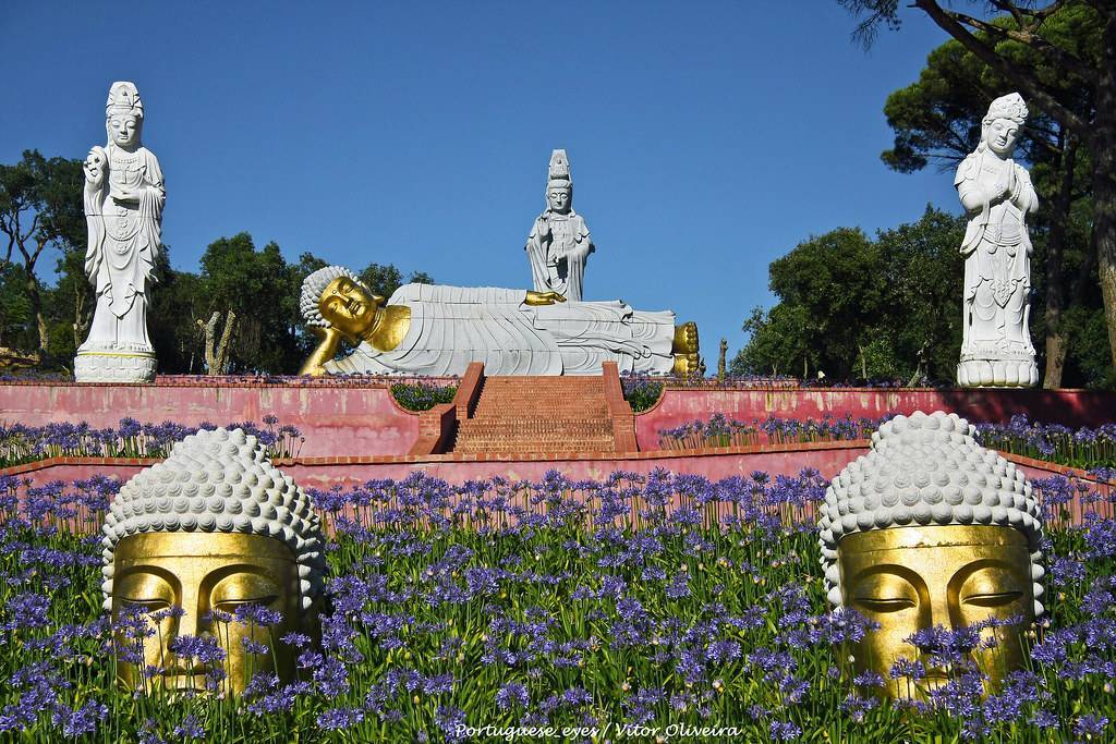 Lugar Buddha Eden