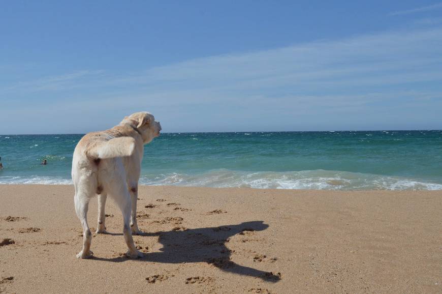 Lugar Praia das Maçãs