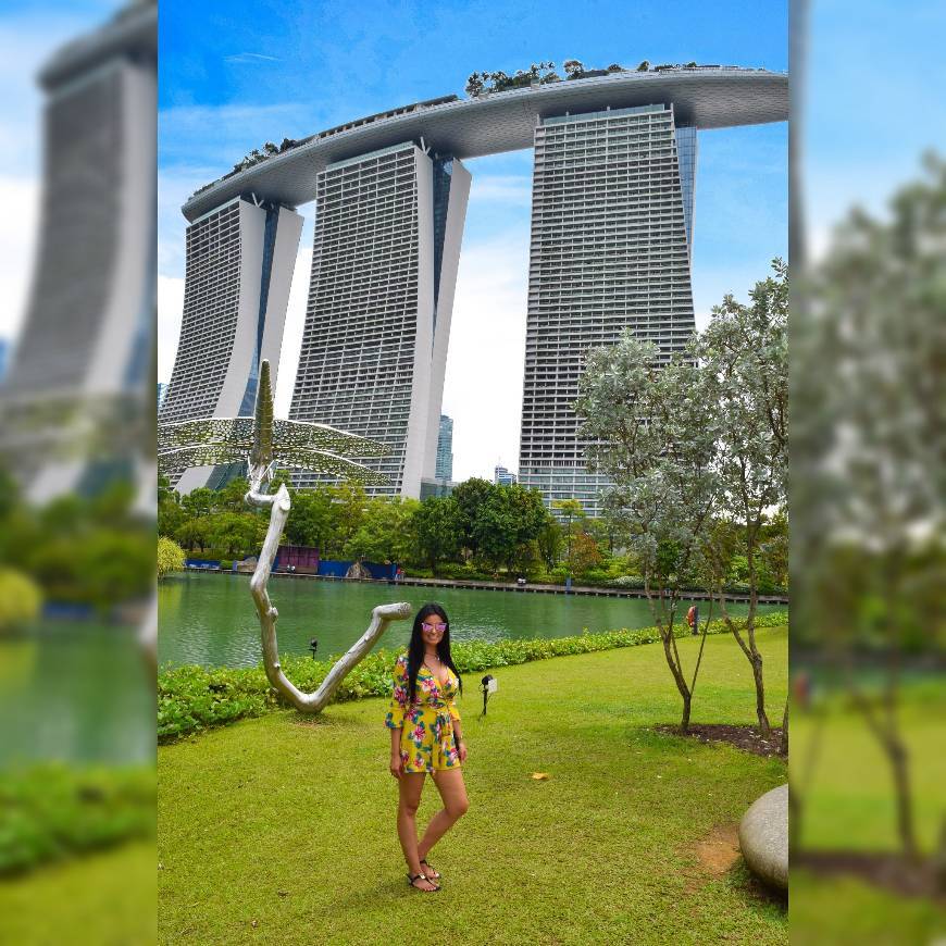 Place Marina Bay Sands