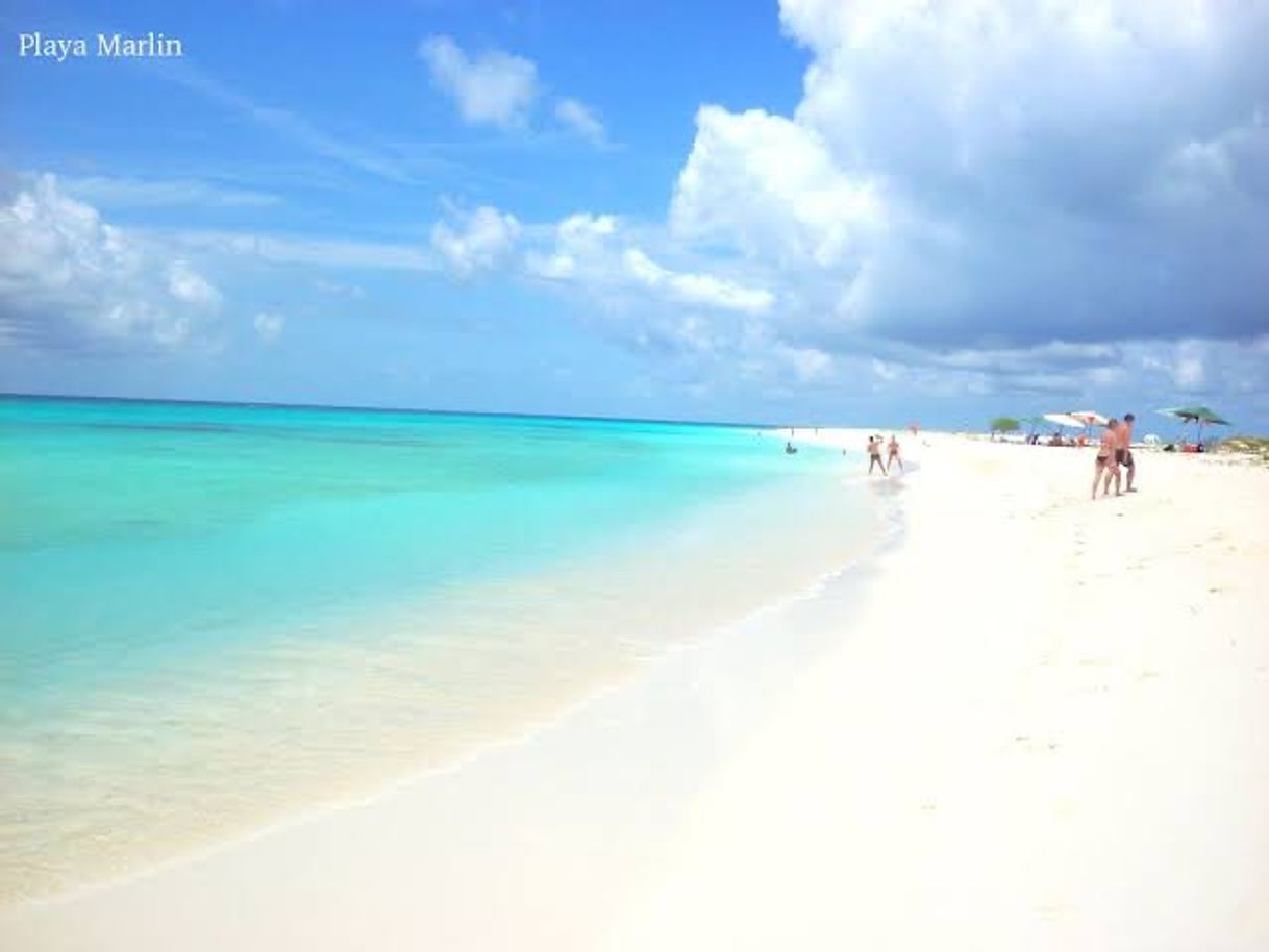 Place Playa Marlín