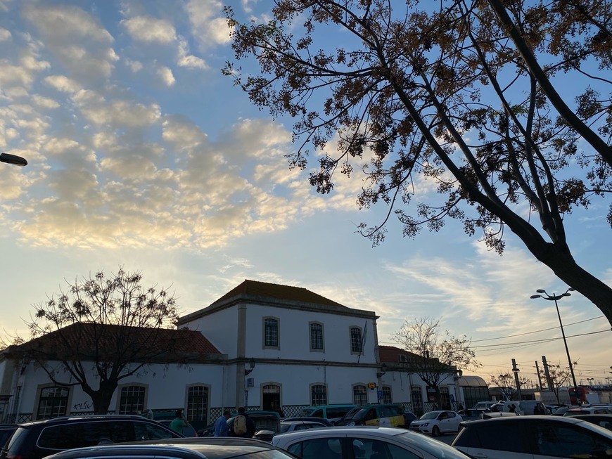 São Pedro
