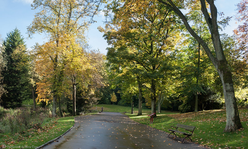 Places Barnes Park