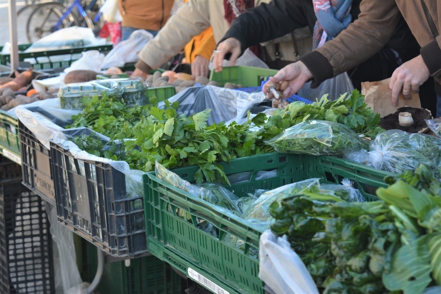 App Mercados Agrobio