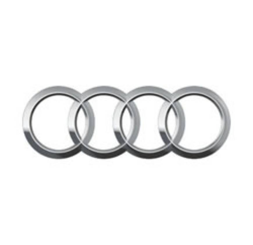 Moda Audi