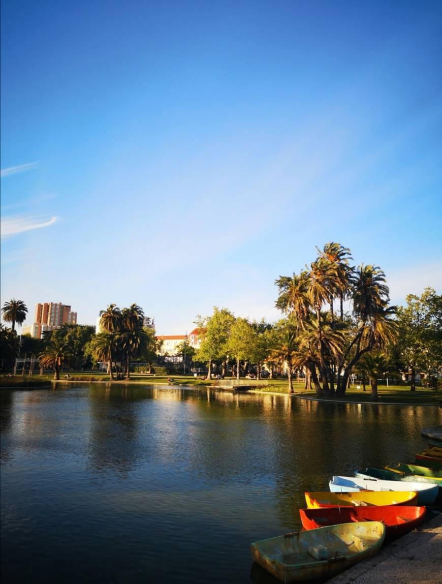 Place Jardim do Campo Grande