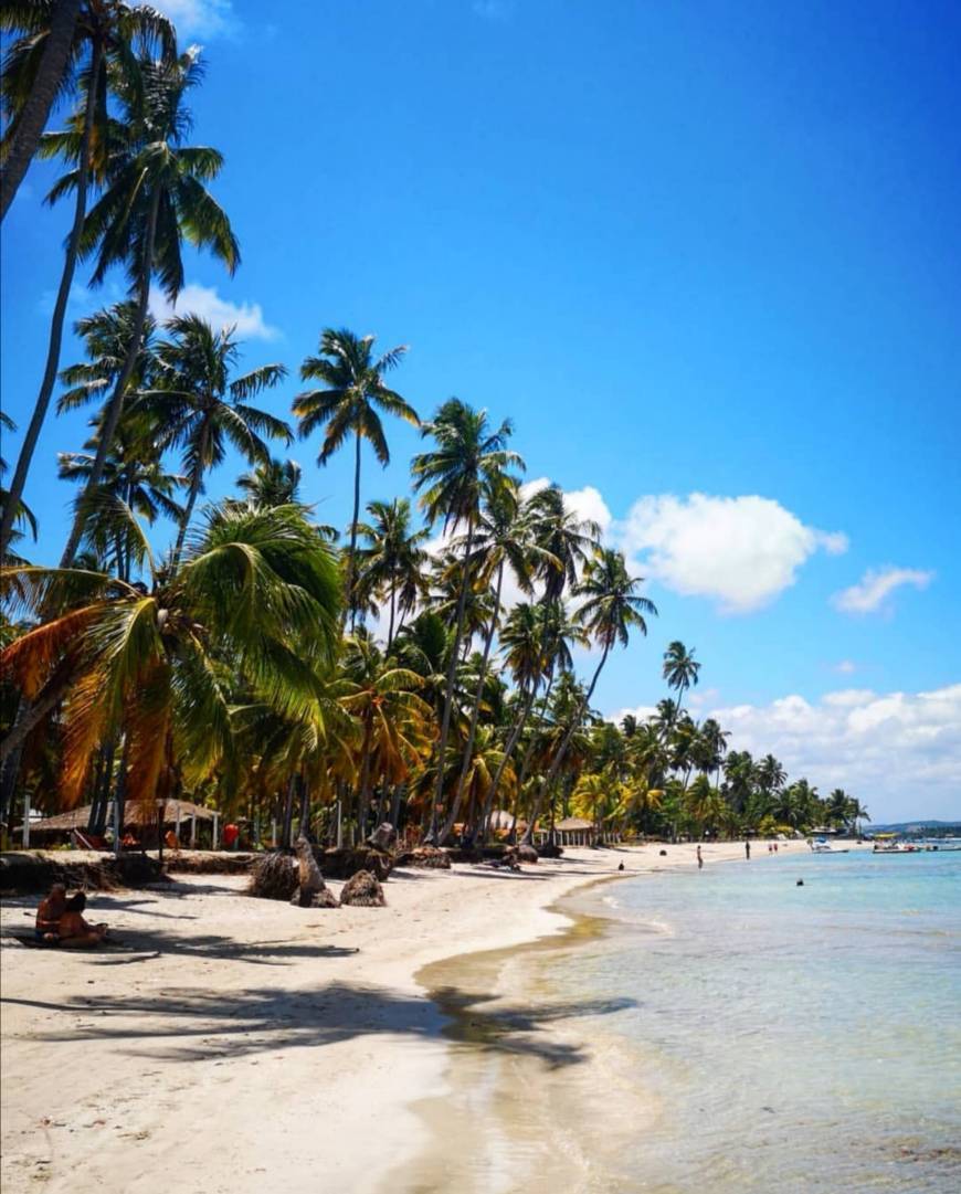 Lugar Praia dos Carneiros