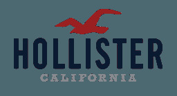 Social HOLLISTER