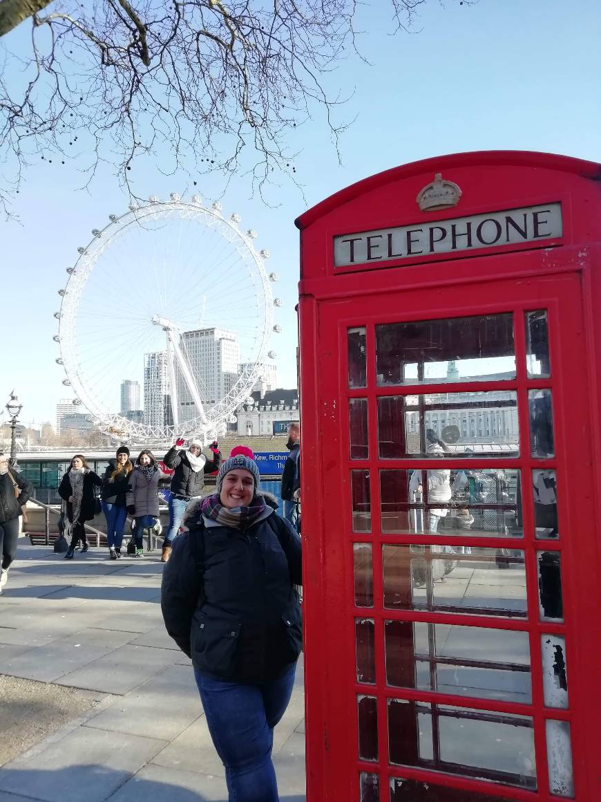 Place London Eye