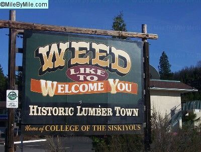 Moda City of Weed, California