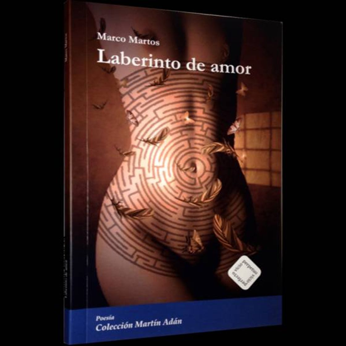 Libro laberinto de amor