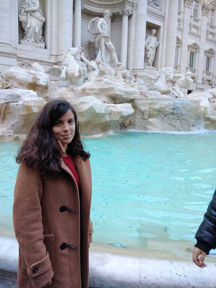 Lugar Fontana di Trevi