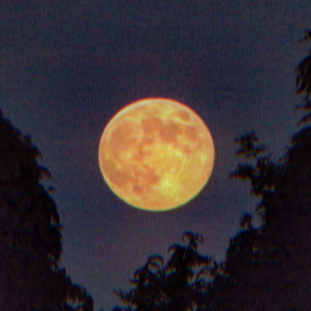 Lying on the Moon
