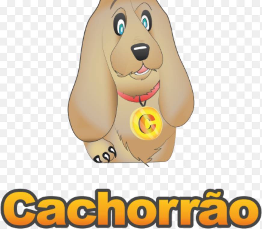 Moda Cachorrão