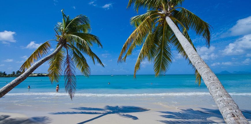 Punta Cana