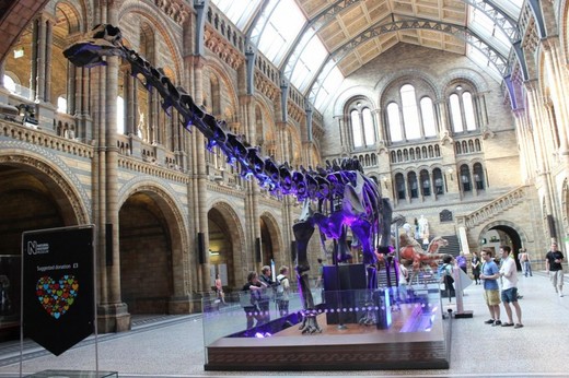 Natural History Museum