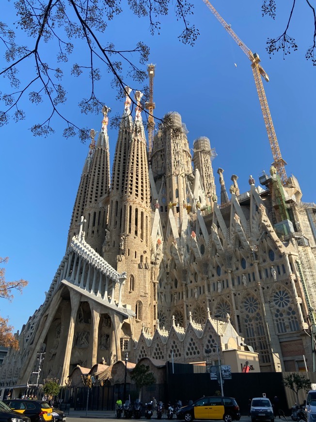 Lugar Basílica Sagrada Familia