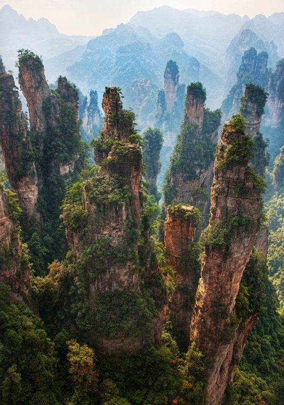 Place Tianzi Mountain